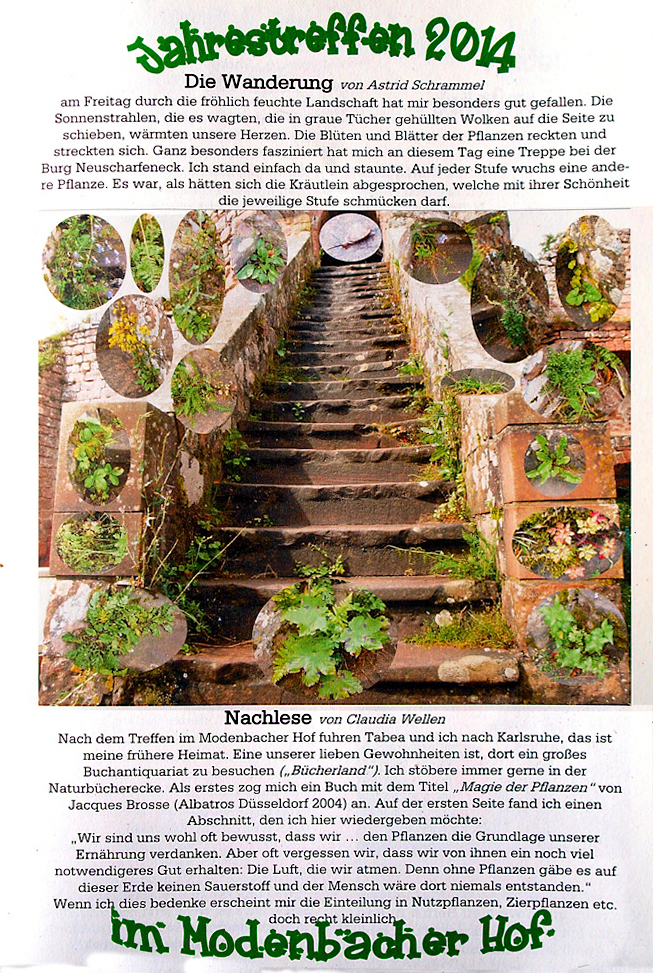 Treppe 2014-4
